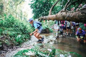 BIB: 
                            <button type="button" onclick="openModal(25474951)" class="btn btn-primary btn-sm float-right btn-popup" data-toggle="modal" data-target=".modal-high-quality">
                        <i class="fas fa-shopping-cart"></i> Add to Cart
                    </button>
                                            <button type="button" onclick="isThisMe(25474951, true)" class="btn btn-success btn-sm float-right btn-popup btn-isme hidden" data-toggle="tooltip" data-placement="bottom" title="นี่คือรูปของคุณใช่ไหม คลิกที่นี่เพื่อเอาเข้าอัลบั้ม">
                        <i class="fas fa-plus"></i> Add to album
                    </button>
                    <button type="button" onclick="isThisMe(25474951, false)" class="btn btn-warning btn-sm float-right btn-popup btn-isnotme hidden">
                        <i class="fas fa-ban"></i> Remove from album
                    </button>